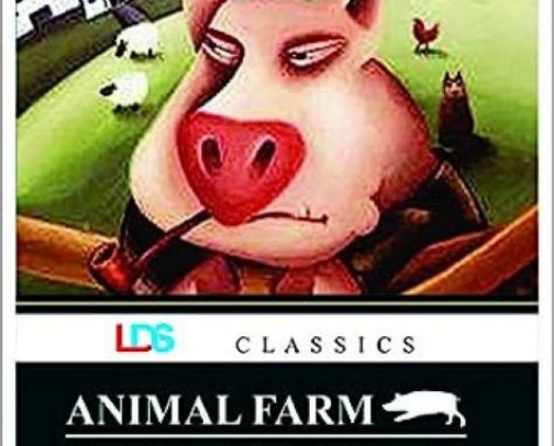 My favorite book recs cover photo collage