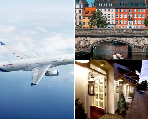 Visit Denmark. The Land of the Vikings! cover photo collage