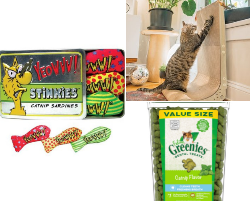 Things My Cat Would Fire Me for Not Buying 🐱 cover photo collage