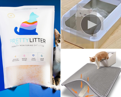 Meowgical Must Haves cover photo collage