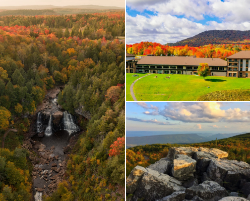 Wild, Wonderful, West Virginia cover photo collage