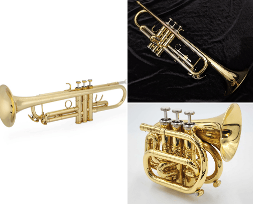trumpets - a variety cover photo collage