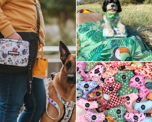 Cavoodle must haves. cover photo collage