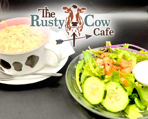 My top Shoreview recs cover photo collage