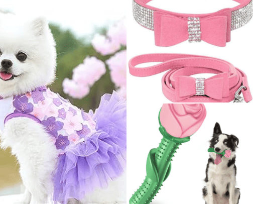 Dog supplies 🐶 cover photo collage