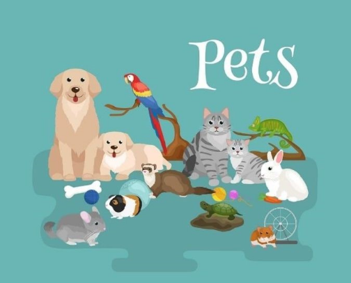 PetSmart Favorites 🐶🐱🐾 cover photo collage