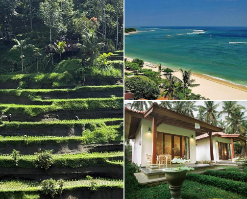 Eat. Snap. Repeat: Bali Edition 📸 cover photo collage