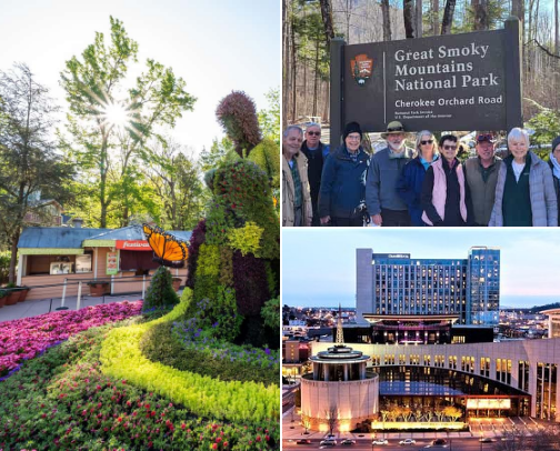 Fun Things to Do in Tennessee (By a Local) cover photo collage