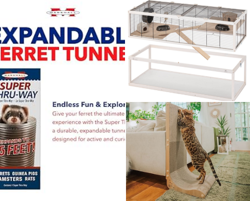 Things I’d recommend for your pets cover photo collage