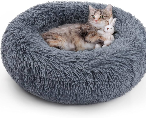 Must-Haves for Every Cat Parent 🐾 cover photo collage