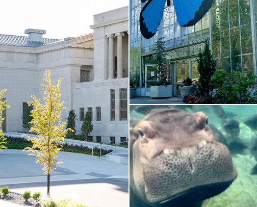 Things to do in Cincinnati! cover photo collage