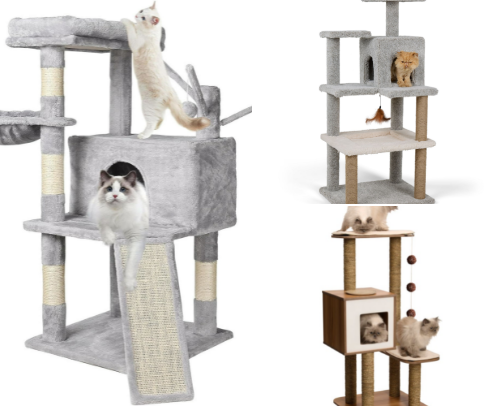 Cat Parent Essentials! cover photo collage