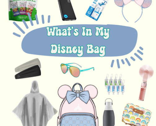 What's in my Disney Bag cover photo collage