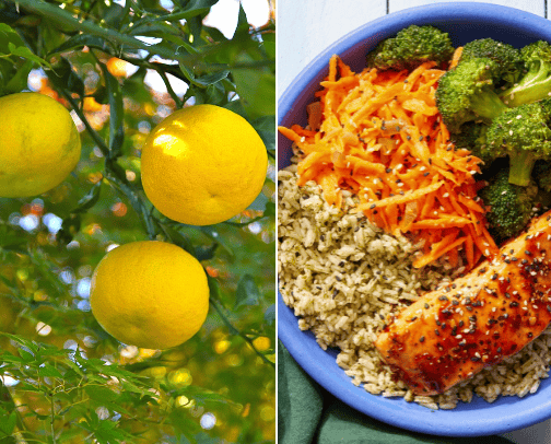 ✨ MAKANAN SIAP SAJI BERGIZI TINGGI✨ cover photo collage