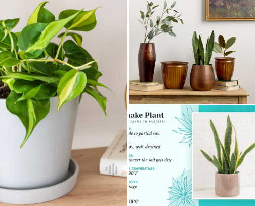Your home is your peace and your zen space cover photo collage