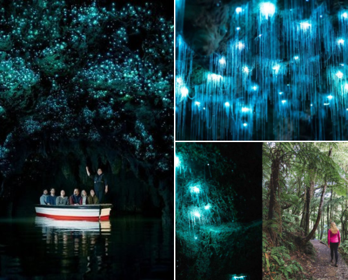 I Finally Visited Waitomo Glowworm Caves and Here's What to Pack cover photo collage