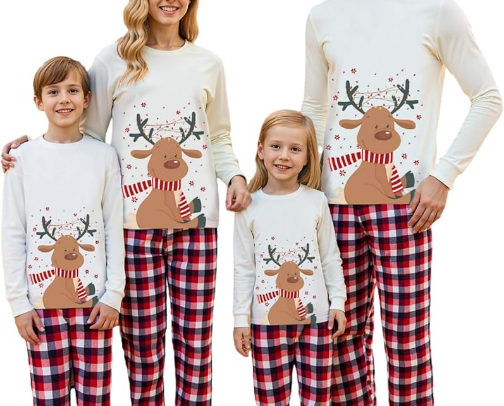Chrismas outfits for the whole family cover photo collage