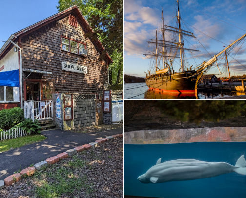 Connecticut can be fun!!! Things to do: cover photo collage