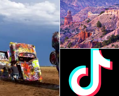 Local Sites and Activities cover photo collage
