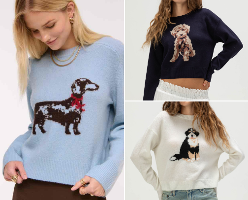 Dog sweaters for Fall Fits cover photo collage