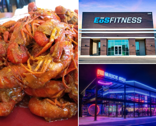My top Houston recs cover photo collage