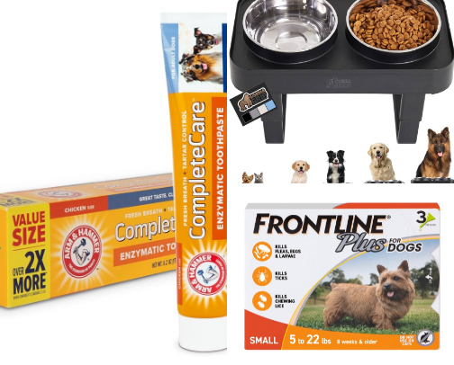 The Paw-sentials cover photo collage