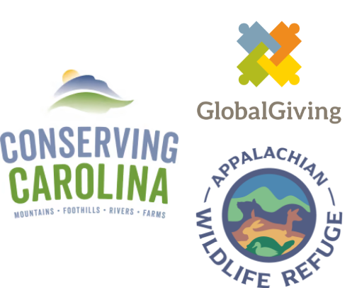 Giving Back: Impacting WNC and Beyond cover photo collage