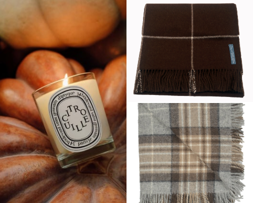 Cozy Fall Home Picks for Comfort & Ambiance cover photo collage