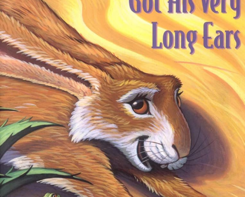 Kid books cover photo collage