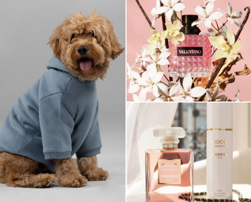 The Ultimate Beauty Edit: Cult Classics & Modern Icons 💄✨ cover photo collage