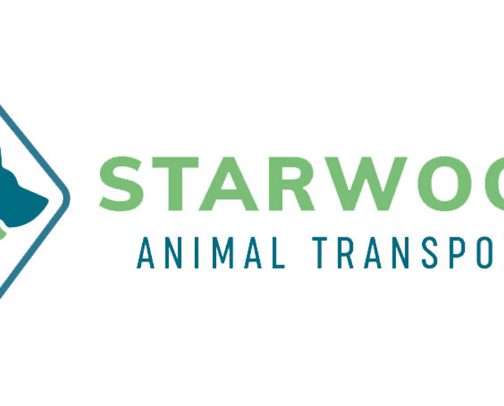 Pet Transport cover photo collage