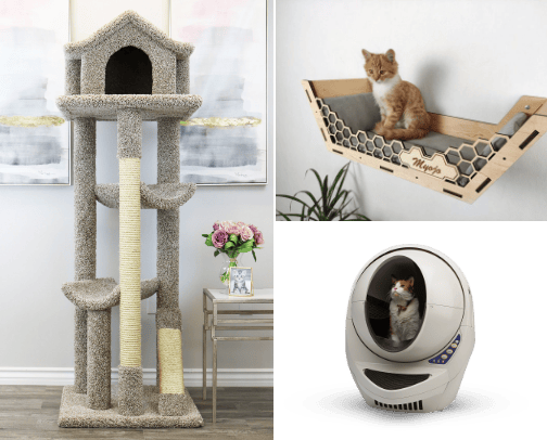Essentials for having a Happy Cat cover photo collage
