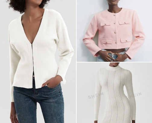 Zara's dupe at Shein cover photo collage