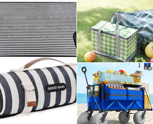 Picnic Essentials for Florida Parks & Lakes: Top Amazon Picks cover photo collage