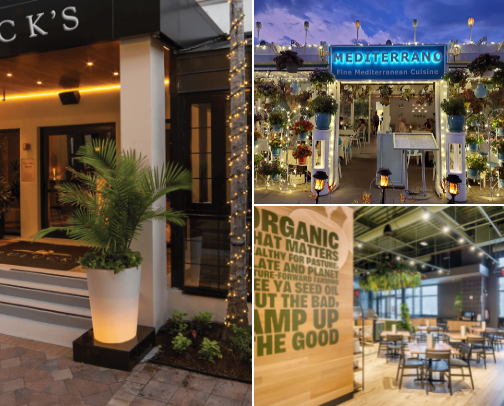 Local Vegan Options in Naples, Florida cover photo collage