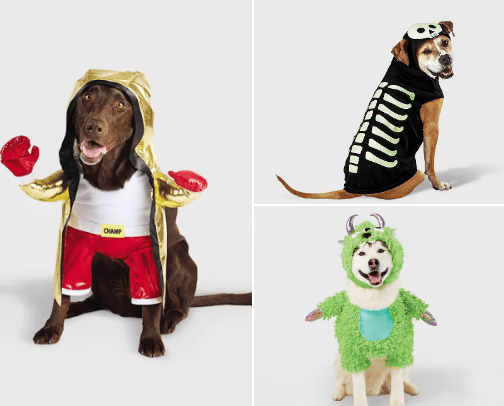 Cute Halloween Costume Ideas for Dogs 👻 cover photo collage
