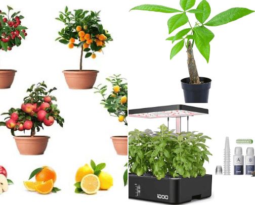 Plant lovers! cover photo collage