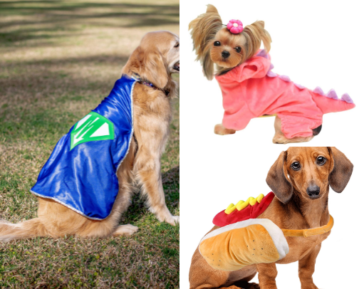 Playful pets luv Halloween costumes too... cover photo collage