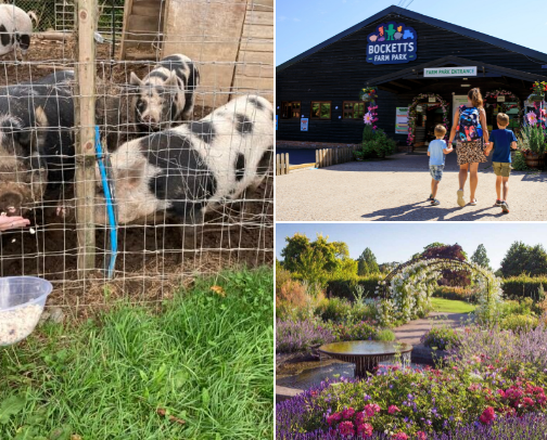Holiday Activities For Kids In Surrey UK cover photo collage