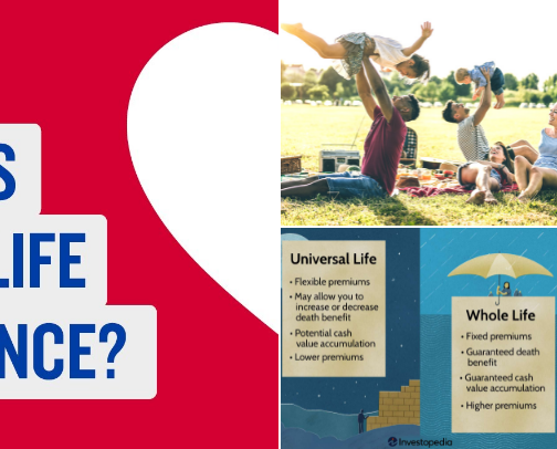 Life Insurance Awareness cover photo collage