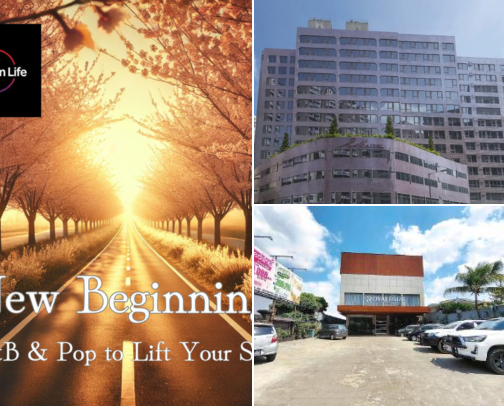 Cosy Hotels in Tai Po, Hong Kong to Come Back To cover photo collage