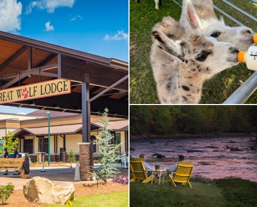 Fun Family Getaways Within 2 Hours of Atlanta  (Easy escapes that feel like a vacation without the stress) cover photo collage