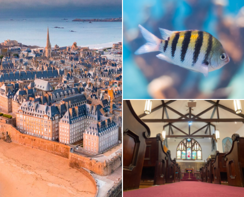 Wanderlust cover photo collage