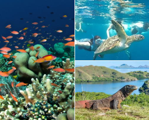 Breath-Taking Tourist Destination in Indonesia cover photo collage