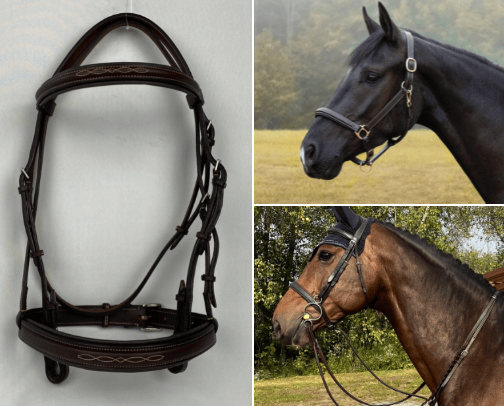 Everything leather cover photo collage
