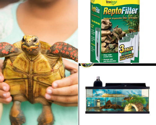 Pet Turtle essentials cover photo collage