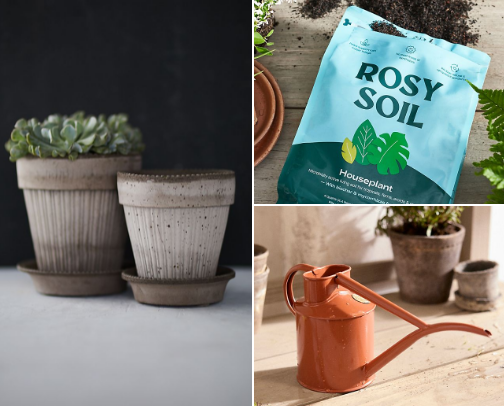 Plant Mum 101 cover photo collage