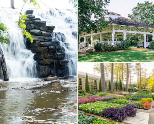 Outdoor/indoor activities to do in Auburn/Opelika cover photo collage