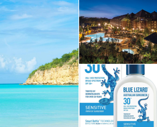 Cruise Favorites cover photo collage