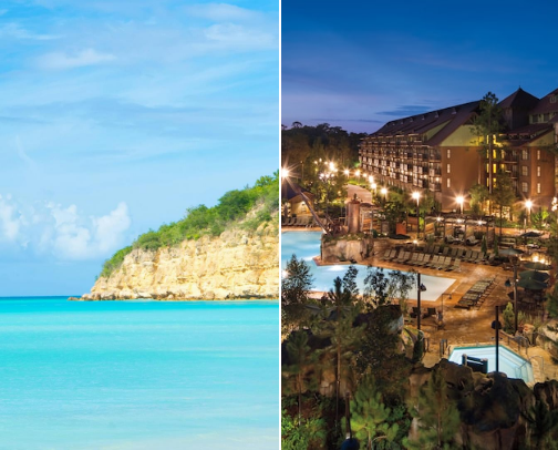 Cruise Favorites cover photo collage